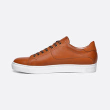 Load image into Gallery viewer, Celio - Shoe - Casual Shoes, Men, On Sale, Sneakers - Austrich